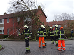 Prio 2 Stormschade Hanegraafweg Noardburgum